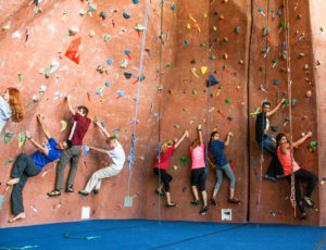 Climbers in the Gym